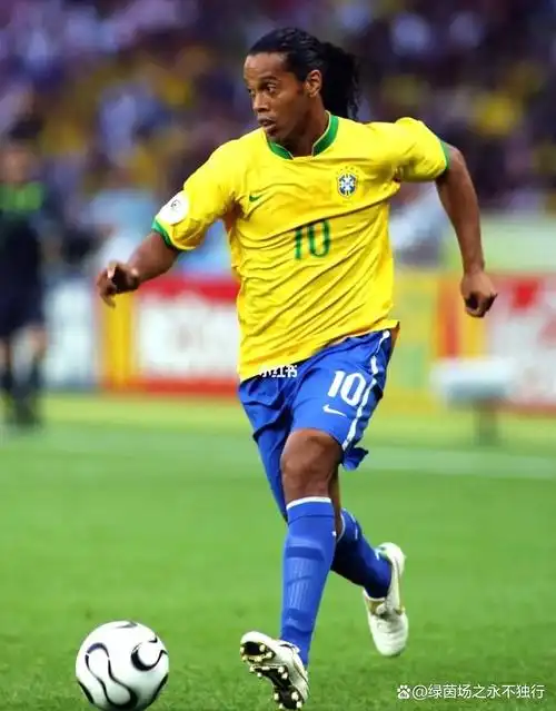 的进步无疑 的进步无疑